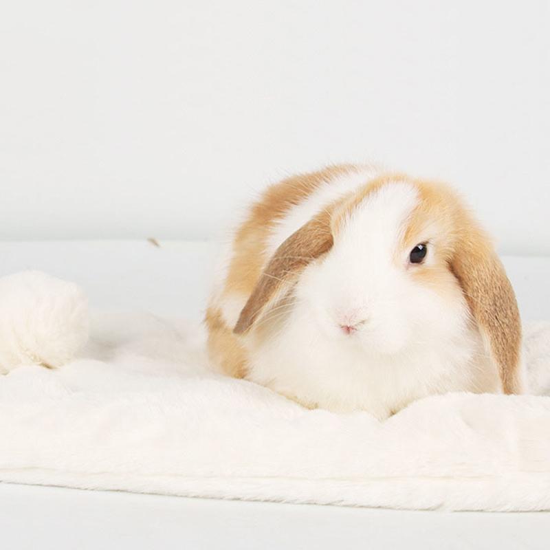 Kaninchen Kunstfell Nestmatte Meerschweinchen Hamster Chinchilla Bett Haus Nest Schlafmatte Kleine Haustiere Schlaf Baumwollmatte Warme Zubehörteile