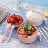 5pcs Wheat Straw Lamian Noodles Bowl and Lunch Box with Lid Spoon, Fork and Chopsticks Especially Suitable for Kitchen Tableware