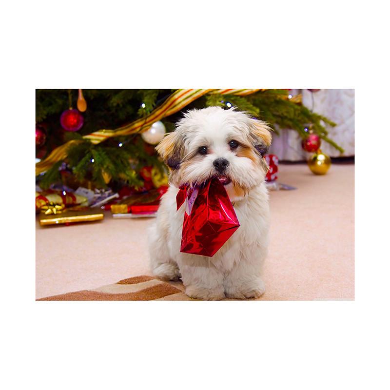 Pet Themed Christmas Photography Backdrop,Party Banner,Wall Decor,for Parties Backdrops,Holiday Decor,Photo Studio