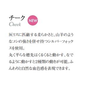 Authentic Kumano Brush Chikuhodo Silver Fox Cheek Brush, Black Handle, R-C5, Hiroshima, Regular Series, Makeup Brush, CHIKUHODO (Black)