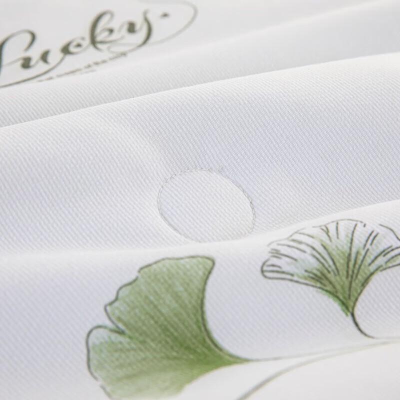 Belle Anna Soy Cloud Soft Summer Quilt