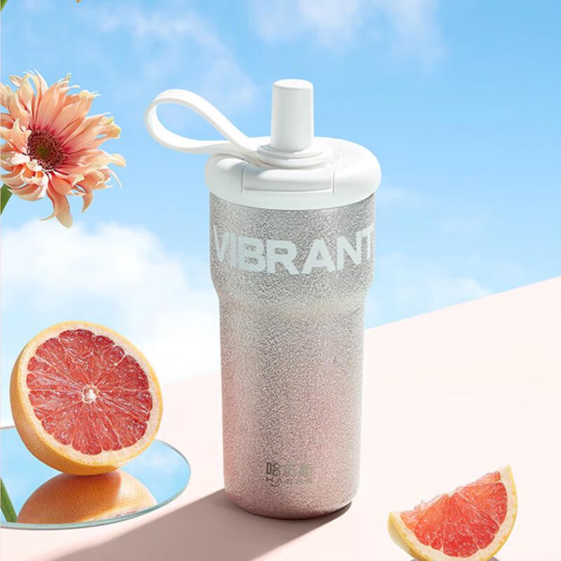 HAERS Starry 304 Stainless Steel Insulated Straw Bottle 500ml