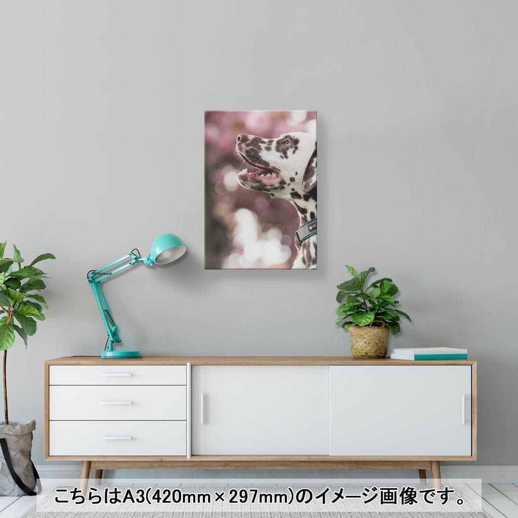 Art 420mm x Wall Wooden Stylish Interior Animal Photo Panel, Painting, Decoration, igsticker, 297mm, A3, Photo, Hanging, Frame, Decor, 023189, Dog,