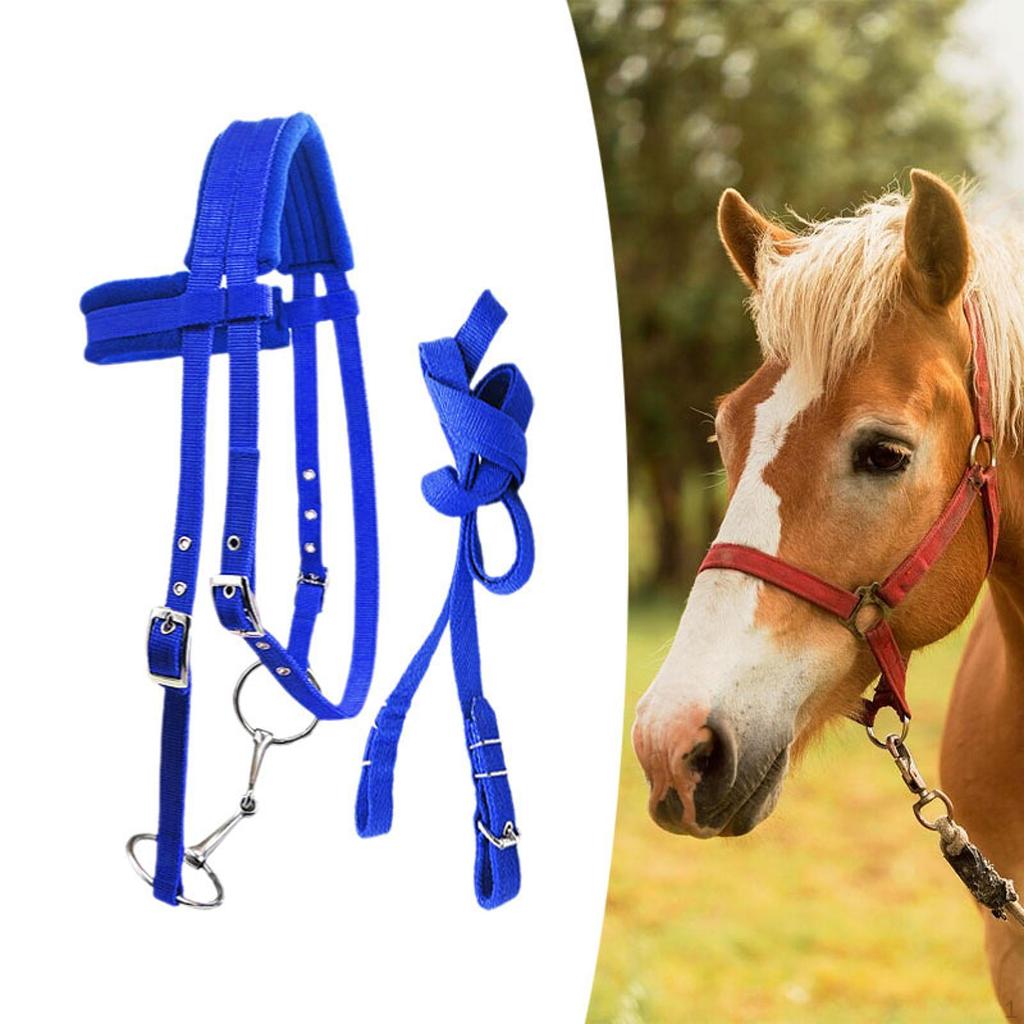 Horse Bridle with Rein And Leading Rope Equestrian Gear for Comfortable Use