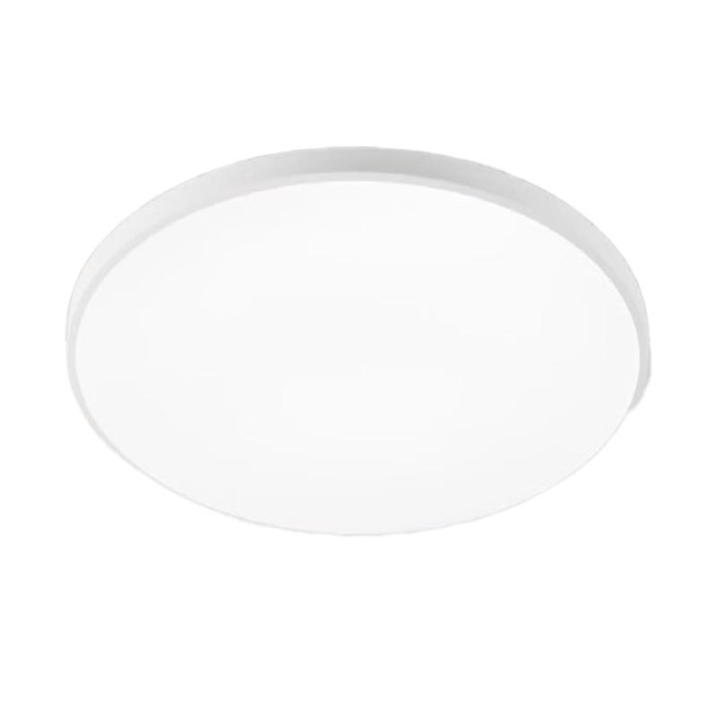 Lelangs Ultra-Thin LED Ceiling Light
