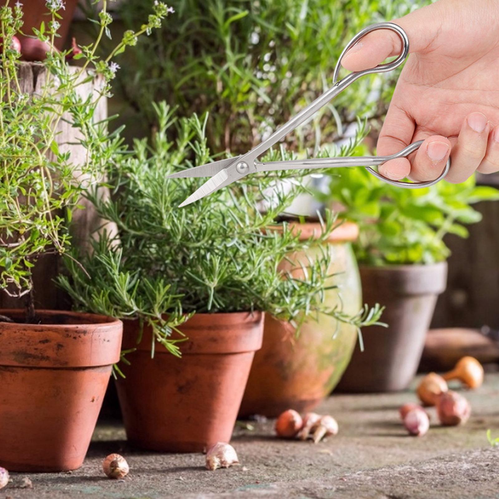 

Stainless Steel Bonsai Scissors Bonsai Shear Long Handle Scissors 185mm