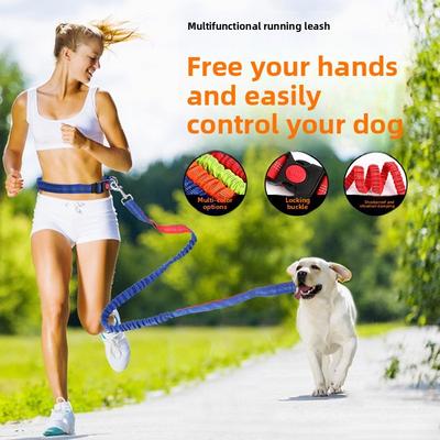 Cani – Collari e guinzagli per cani