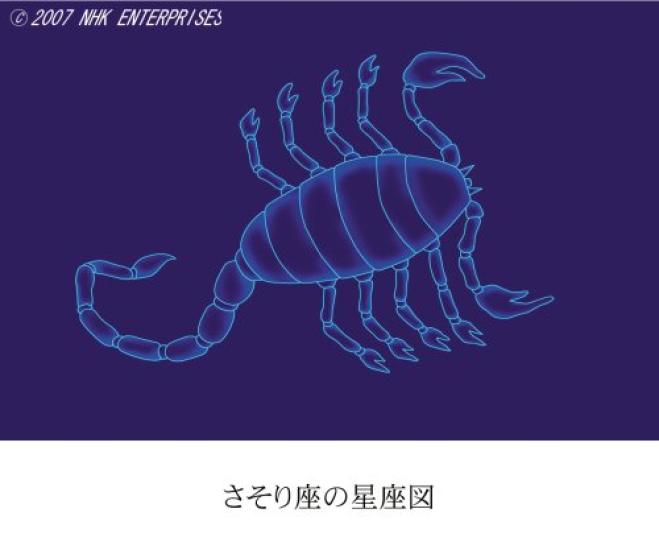 Constellations of the Four A walk through the constellations that color the night sky Seasons [DVD]