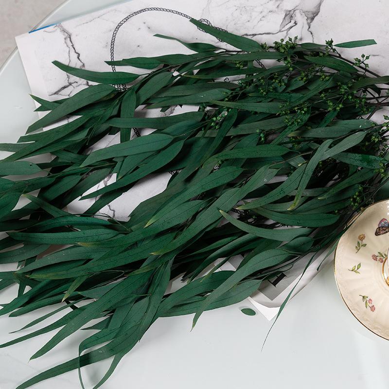 Eternal Apple Eucalyptus Millet Fruit Leaves Beauty Leaves Eucalyptus Leaves Air Dried Flowers And Leaves Multicolor Eucalyptus Leaves Home Decoration