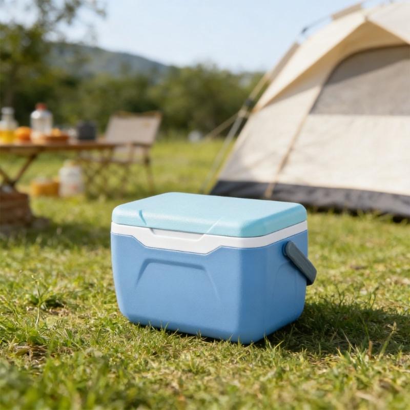 High Capacity Cooling Box Insulated Food Container Insulation Cooling Case Plastic Texture for Car Camping Outdoor