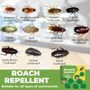 Roach Killers Indoor Infestation Cockroach Repellents Home Roach Traps Cockroach Baits Roach Children & Pet Friendly