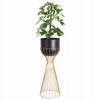 Standing Metal Black Gold Loft Wire Stand 56Cm