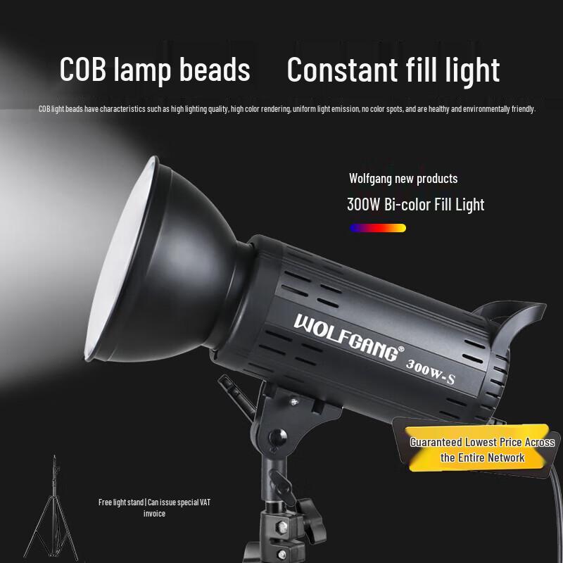 WOLFGANG 300W-S Bi-color LED Photography Fill Light