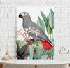 Poster Grey Parrot Plants