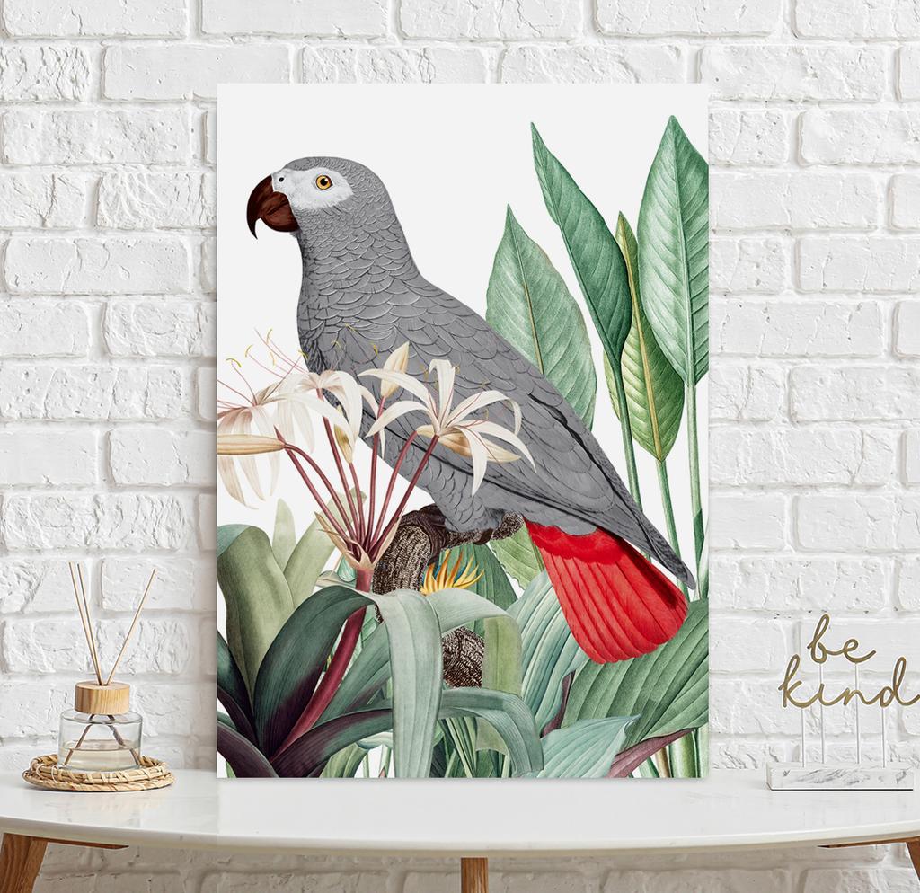 Poster Grey Parrot Plants