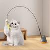 360° Rotatable Interactive Toy, Automatic Wand Toy with Peel-and-Stick Base, Moving Feather, Fish and Bell, Detachable Teaser