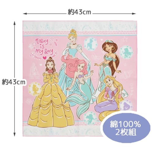 Skater Lunch Box Lunch Cloth Children's Set of 2 Disney Princess 23 Girls KB4WN