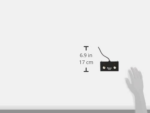 IBANEZ IFS2U Footswitch