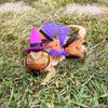 Funny Mini Pet Halloween Costume Comfortable Soft Lizard Witch Costume Set with Ribbon Decorative Lizard Witch Costume