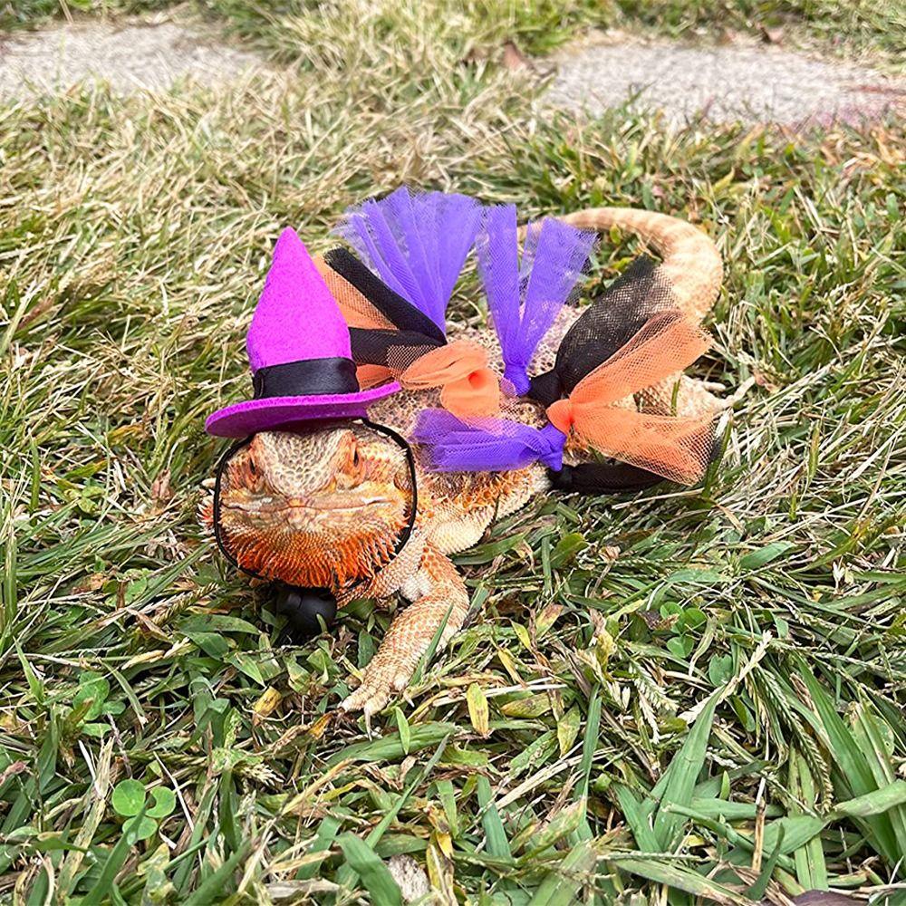 Funny Mini Pet Halloween Costume Comfortable Soft Lizard Witch Costume Set with Ribbon Decorative Lizard Witch Costume