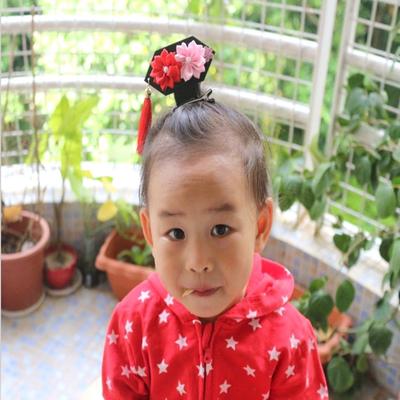 12 Pieces Cartoon Ladybird Hair Slides Snap Hair Clips for Little Girls