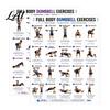Grafico Esercizi Fitness a Casa 2 Pezzi Poster Allenamento Manubri Guida Corpo Intero Arte da Parete Allenamento Forza per Palestra Riferimento