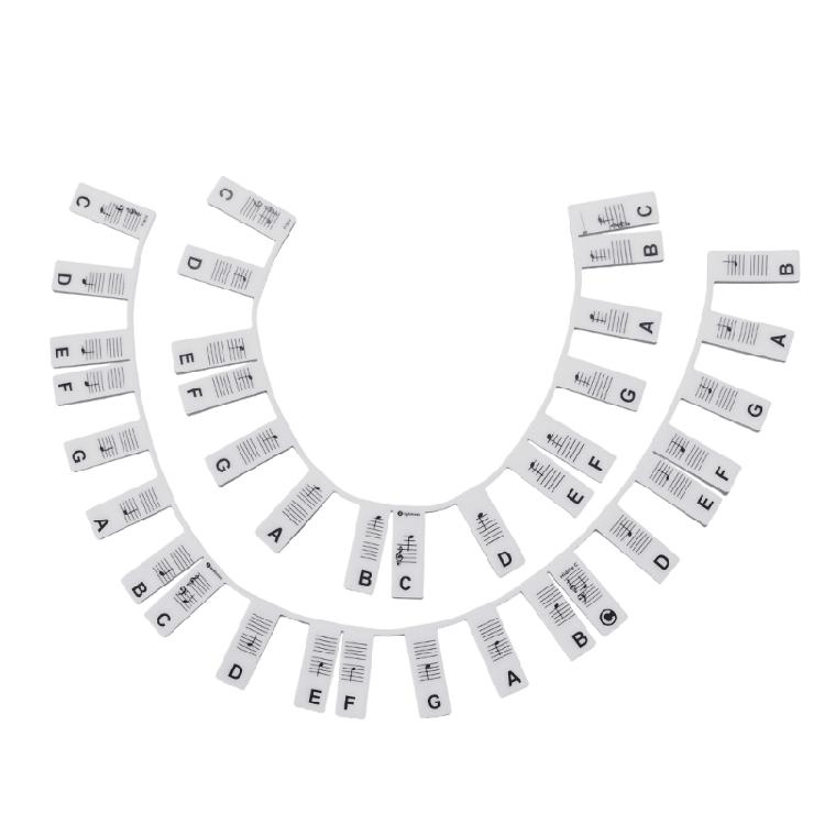 Piano Keyboard Stickers for 88/61 Key Transparent Removable for kids Beginners