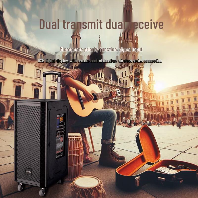 Runpu Dual 8-inch Portable Conference & Outdoor Trolley Speaker (CN version)