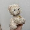 [USED] Sold out! Hashino Kurumi Teddy Bear Afternoon Tea