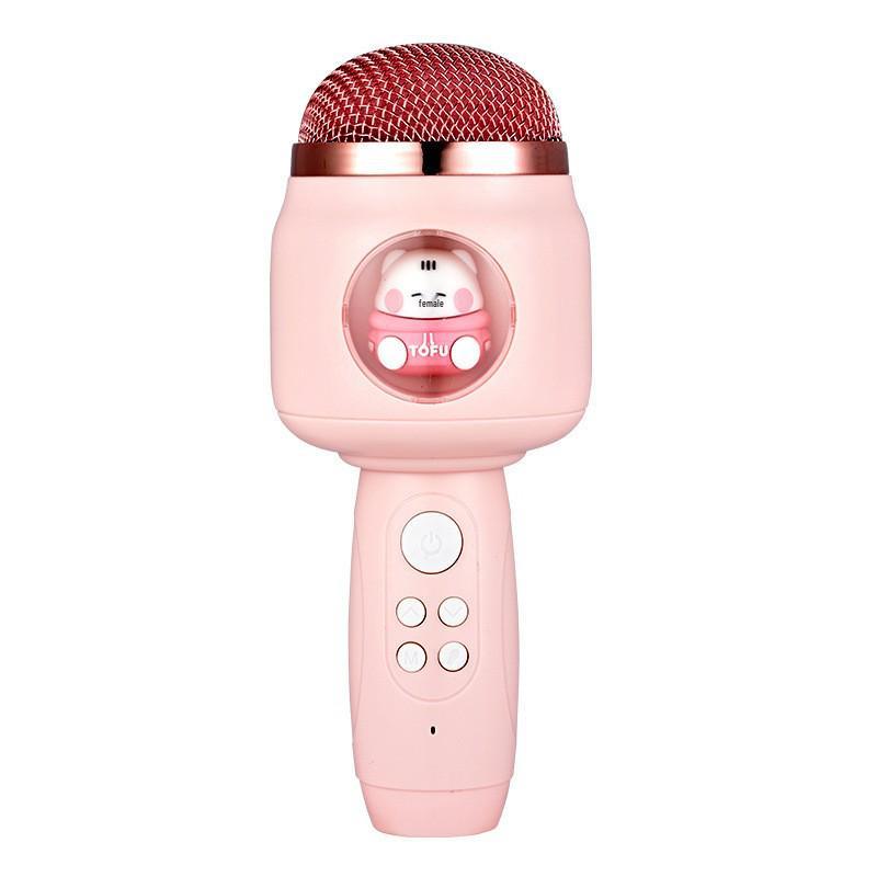 Kids' Mini Microphone Karaoke Speaker with Bluetooth Echo