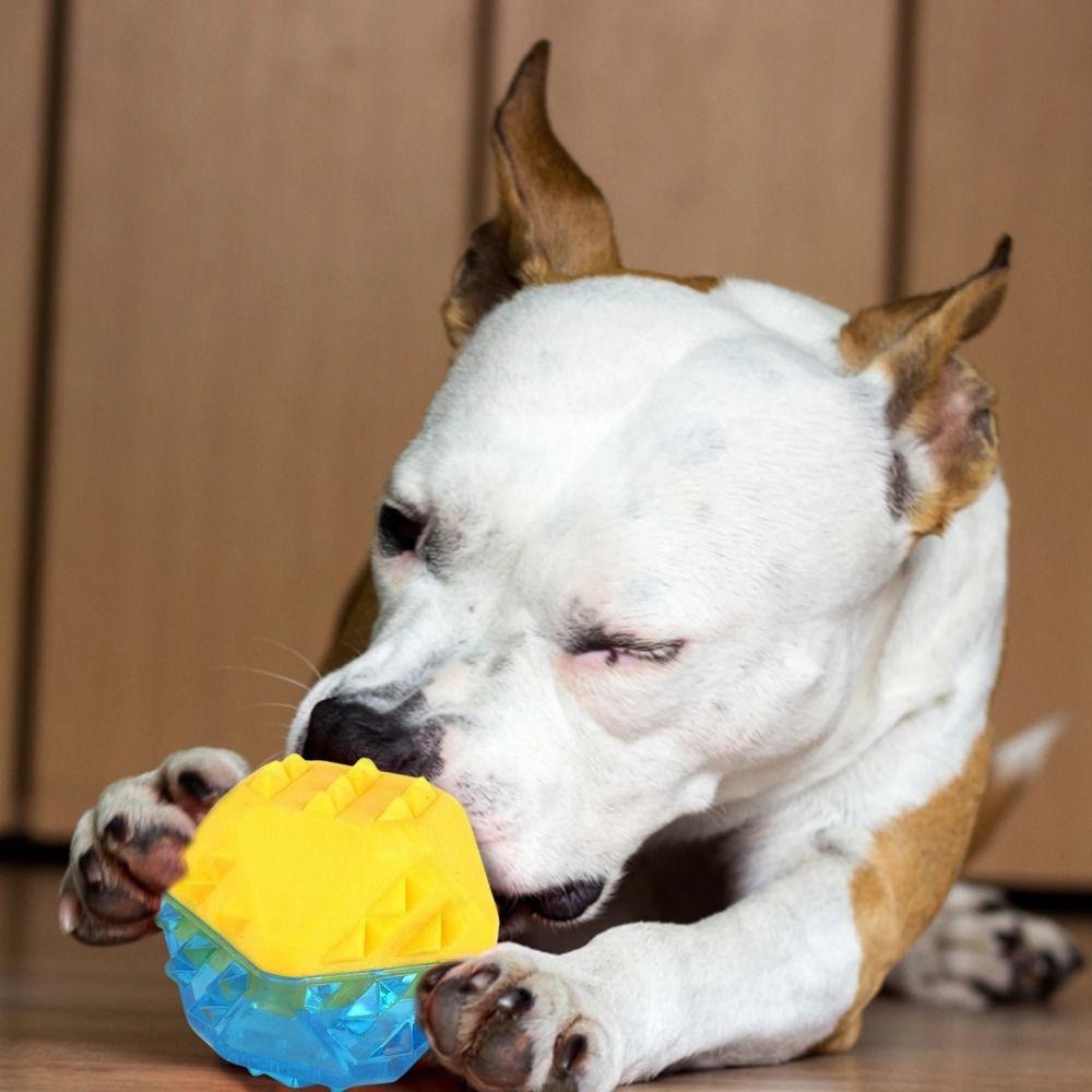 

TPR Dog Molar Bone Toy Bite-Resistant Puppy Frozen Molar Toy Pet Cooling Chew Toy Teeth Cleaning ball