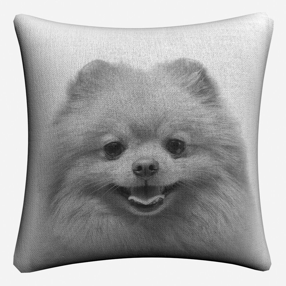 Pomeranian Puppy Dog Simple Art Cushion Cover For Sofa Chair Home Decor Almofada