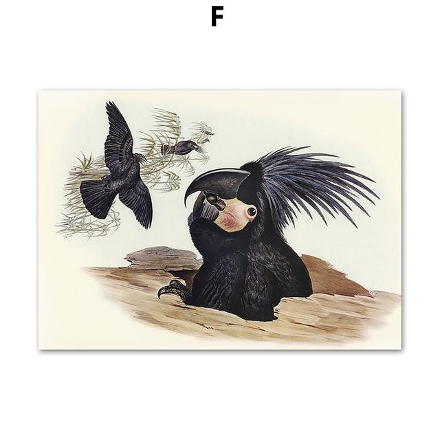 Papagal Pasăre Artă de perete de epocă Pictură pe pânză colibri colorat Postere nordice și imprimeuri Poze de perete pentru decorarea camerei de zi, fără cadru