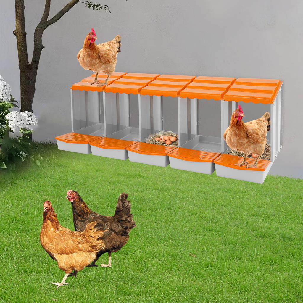 5-Compartment Chicken Nesting Box, Laying Hen Nest for Egg Collection, Durable PP Material,Farm & Coop Use, Poultry Supplies