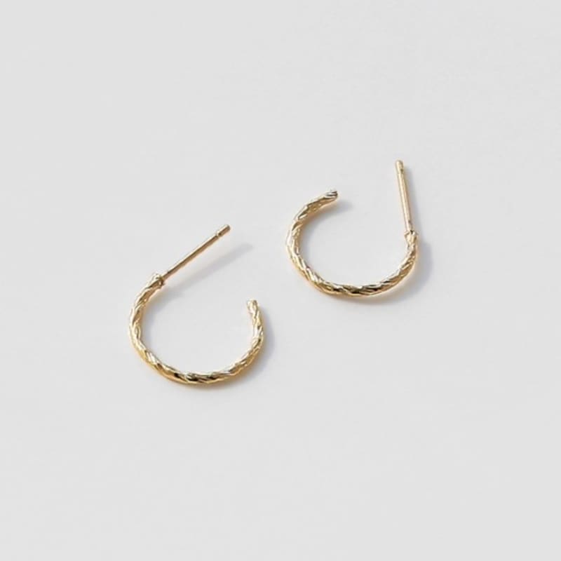 

FANTASTIC PLANET pattern ring earrings (2size 2colors) SILVER