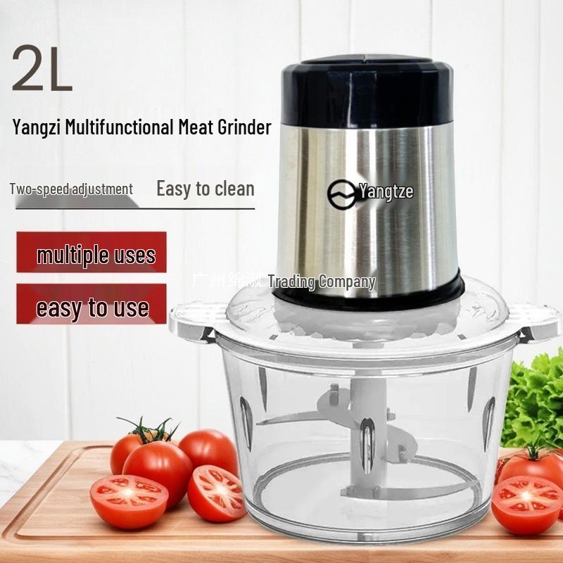 

2L Electric Meat Grinder & Food Processor for Minced Meat, Garlic Paste, Dumpling Filling & Chopping