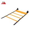 Gengtu Agility Training Ladder