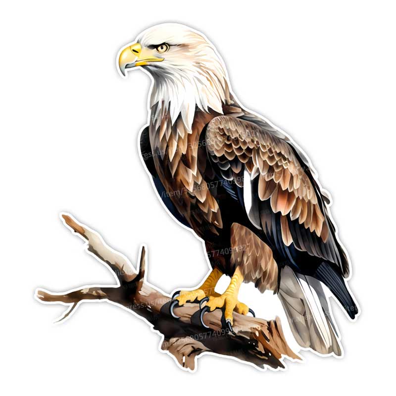 Eagle Standing on a Branch Car Sticker Waterproof Vinyl Decal on Bumper Rear Window Laptop Decal For Car Accessories Y161