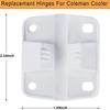4 Set White Plastic Cooler Hinges & Screws Set Compatible With Coleman Coolers