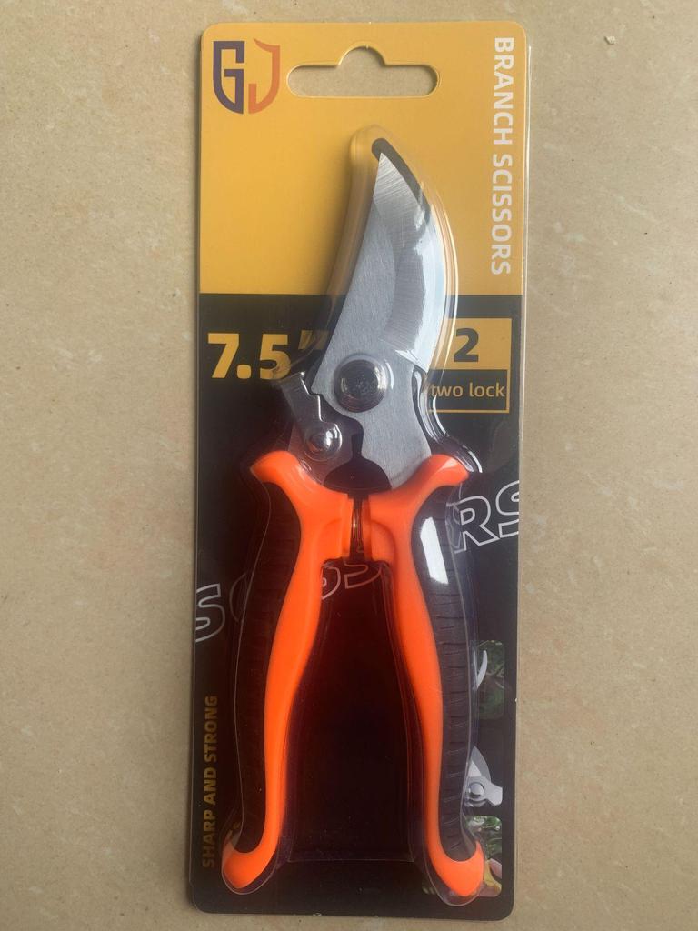Garden Floral Pruning Shears: Artful Branch, Flower, and Fruit Tree Scissors for Gardening and Fruit Picking