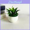 Fake Sinocrassula Indica Plant Pot With Pvc Material For Home Decor And Photography Props