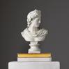 Nordic Style Greco-Roman Classical Bust Sculpture Matte Resin Living Room Decorative Accent (30 Cm, Ivory)