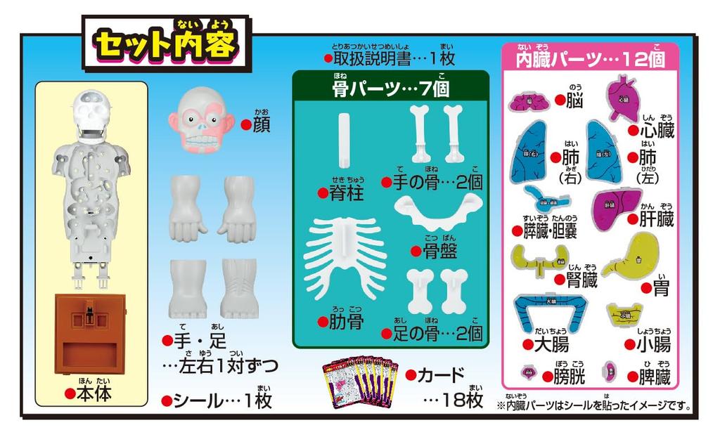 MegaHouse Super Crush Human Body Model Action Game Ages 6 and Up