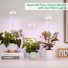 1Pc USB Angel Ring Grow Light Phytolamp for Plants with Control Full Spectrum Lights Home Flower Seedling Clip Phyto Lamp