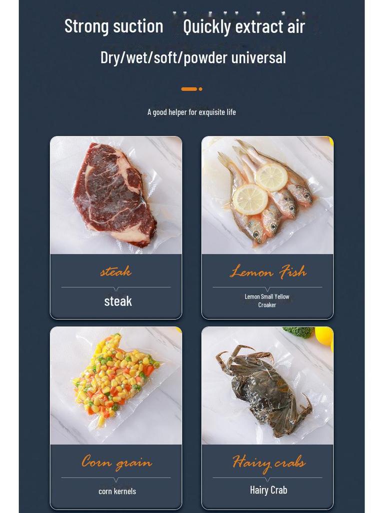 Aparat de etanșare cu vid umed/uscat portabil pentru conservarea alimentelor