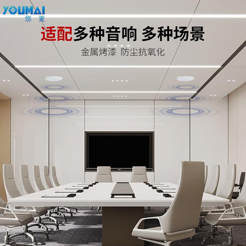 

Youmai Professional Conference Audio Systems (CN version)