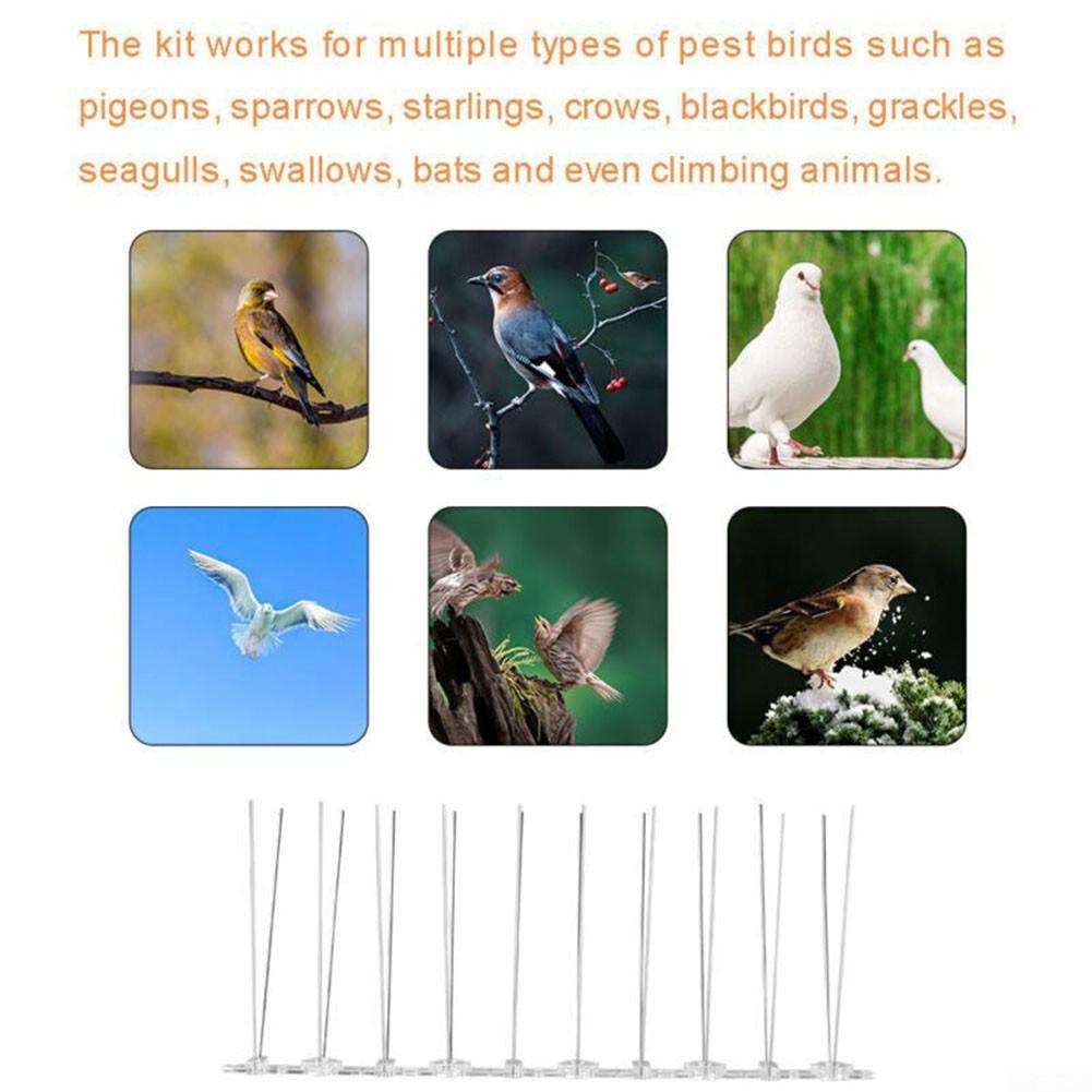 High Quality Birds Spikes Deterrent Cover 1/4/12pcs Adapter