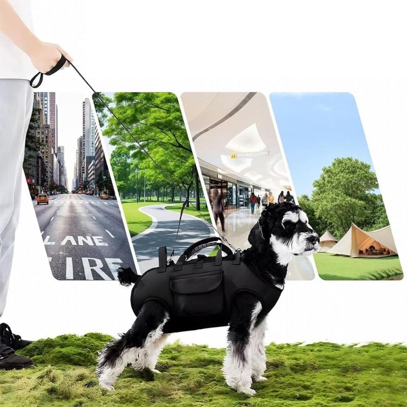 Transporttaschen für Katzen und Welpen, Tragetaschen für Outdoor-Reisen, Bein-raus-Transporttaschen, Sightseeing-Taschen mit Sichtfenster