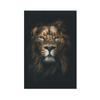 Modern Canvas Painting Black White Animal Posters and Prints Lion Elephant Deer Zebra Wall Pictures for Living Room Home Decor No Frame