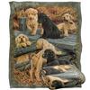JQ Licensing Silky Labrador Puppies Supersoft Blanket